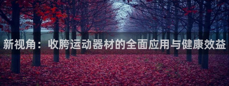 意昂4新能源:新视角:收胯运动器材的全面应用与健康效益