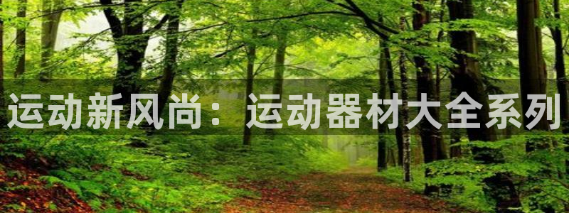 意昂4开户:运动新风尚:运动器材大全系列