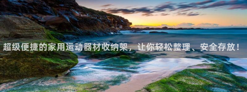 海南意昂体育4发展怎么样:超级便捷的家用运动器材收纳架,让你